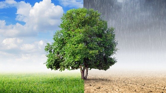 Musim Pancaroba Tiba, Waspadai Berbagai Gangguan Kesehatan Ini